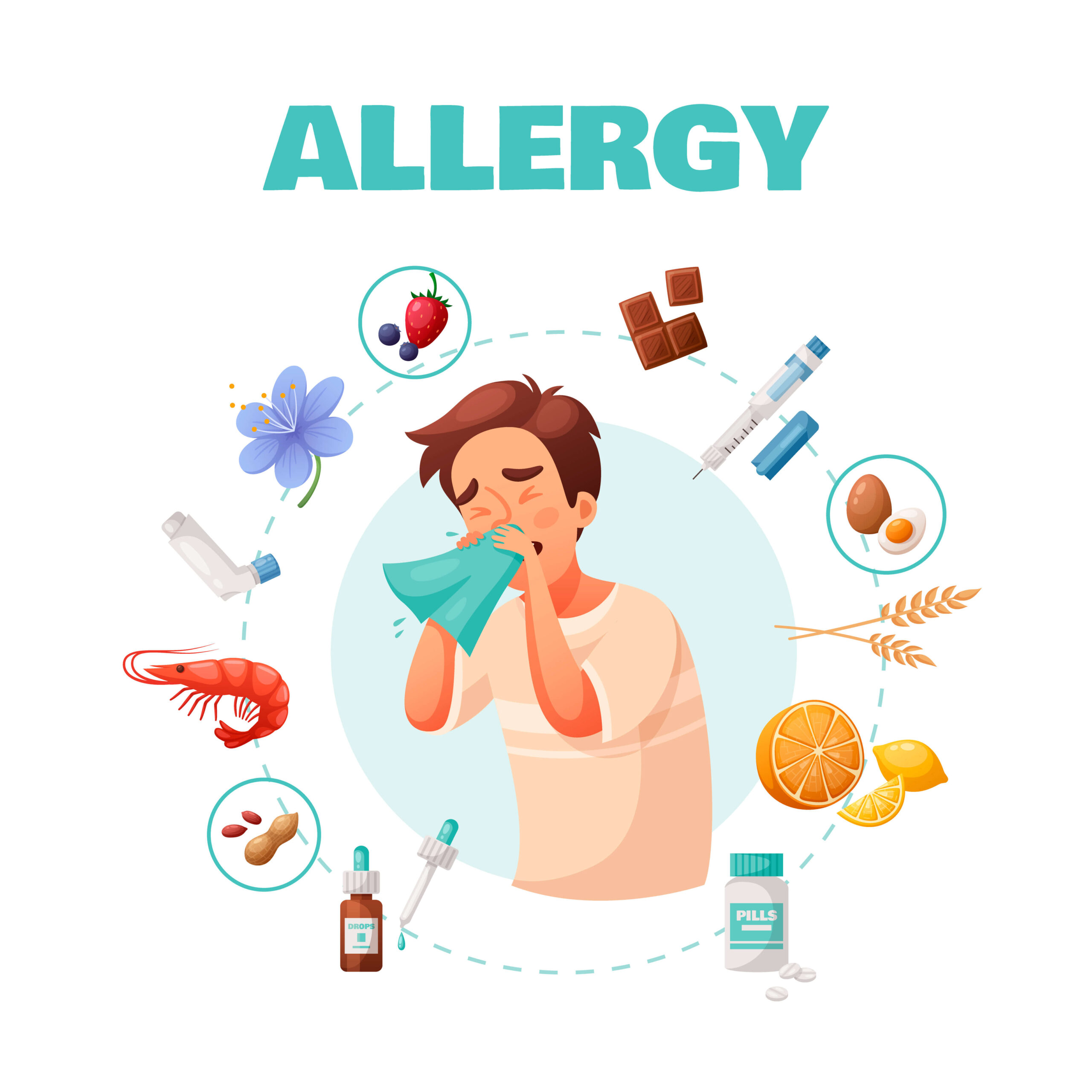Tabella Anatomica Sulle Allergie | Poster Laminato Educativo Per Medici E Studenti
